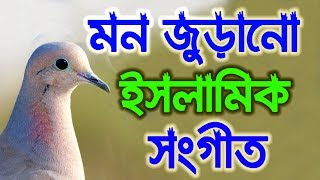 মন জুড়ানো  রমজানের ইসলামিক সংগীত | Ramzan Bangla Islamic Gozol 2018 | Talk For Islam