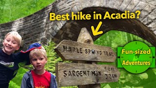 Going to Acadia National Park? DO THIS HIKE! Maple Spring Trail to Sargent Mountain