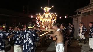 2023年9月16日勝浦大漁祭り川津区川津神社の神輿