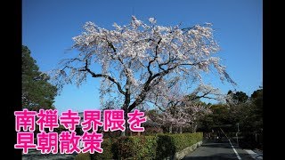 南禅寺界隈を早朝散策　【2019 春 京都旅】