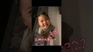 2歳イヤイヤ期真っ只中女子のこだわり#shorts #2歳 #イヤイヤ期