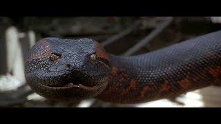 Anaconda movie | Best scene in Hindi