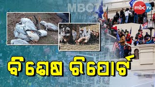 ବିଶେଷ ରିପୋର୍ଟ | special programme | MBCTv