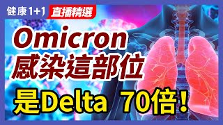 Omicron變種病毒感染這部位，是Delta的70倍！Omicron、Delta對肺部、支氣管的影響分別如何？| 健康1+1 · 直播