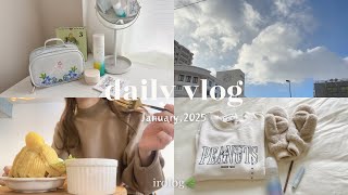 〖vlog〗年末年始のお休みを満喫して、1年を気持ちよく始めるパート主婦の暮らし⛅️🫧｜初詣,キッチンリセット,最近の購入品,お正月プレート