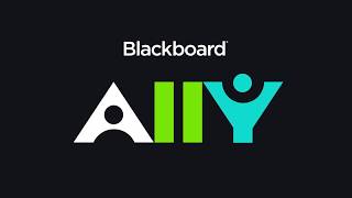 Ally D2L Brightspace Explainer: The Challenges of Accessibility