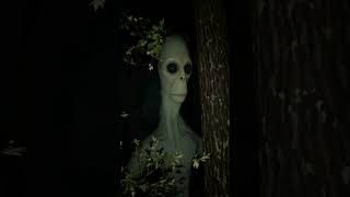 😱 NIGHTMARE in the Woods | Unseen Creature Caught on Camera | #shorts  #creature #forest #scary