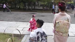 浅草神社、浅草寺、７５３