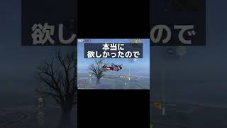 実は荒野の光？【荒野行動】さなπ