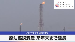 OPECプラス 価格下支え　原油協調減産 来年末まで延長【モーサテ】