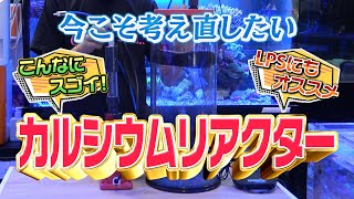 添加剤？　いやいや今こそカルシウムリアクター【2024年10月号 vol.4】