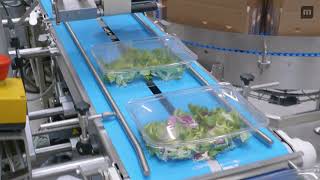 MULTIVAC Line Solution for Leaf Vegetables