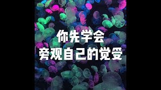 201401 你先学会旁观自己的觉受22061