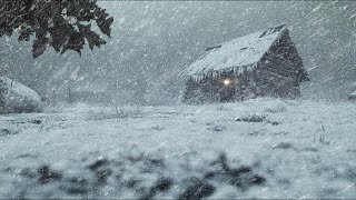 Nature's Fury Unleashed Enduring a Vicious Snowstorm and Its Howling Winds