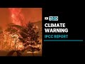 Report warns time is running out to limit global warming | 7.30