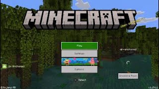 MINECRAFT 1.19.11/2.45 UPDATE OUT NOW!