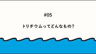 動画でわかる。ALPS処理水「#5 トリチウムってどんなもの？」