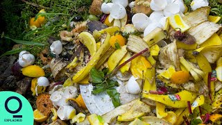 Food Waste Is a Major Climate Problem | Net Zero