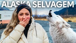 ❄️ VIDA SELVAGEM NO ALASKA: nunca estivemos tão perto