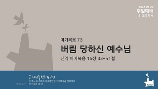 마가복음 (Mark) 73 | 버림 당하신 예수님 (Jesus Forsaken)