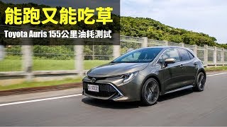 【Andy老爹試駕】能跑又能吃草 Toyota Auris 155公里油耗測試