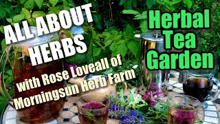 8/8 Herbal Tea Garden - Morningsun Herb Farm's 8-video series "ALL ABOUT HERBS" with Rose Loveall