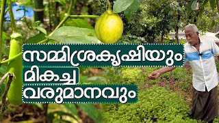 സമ്മിശ്രകൃഷിയും മികച്ച വരുമാനവും| Mixed farming and better income | pavithran palakkuzhi  ernakulam.