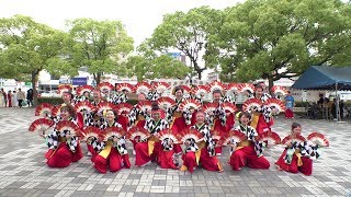 めっちゃええやんず @ 犬山踊芸祭 (犬山駅東広場(からくり)会場/2日目) 2019-06-02T12:35