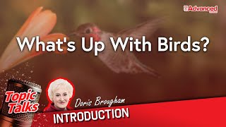 鳥類新知 | What’s Up With Birds? (Introduction)