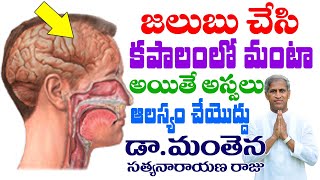 జలుబు చేసి కపాలంలో మంటా!! | Cold Problem | Kapalam Manta | Dr Manthena Satyanarayana Raju Videos