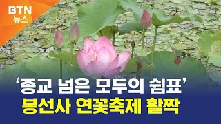 [BTN뉴스] ‘종교 넘은 모두의 쉼표’ 봉선사 연꽃축제 활짝