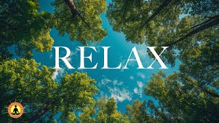 6 HOURS of Beautiful Relaxing Sleep Music for Stress Relief - Calm The Mind, Meditate, Study ☯3817