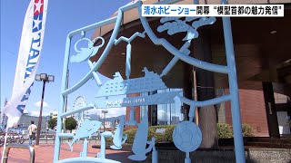 「プラモデルの聖地でこういうイベントありがたい」“模型首都の魅力発信へ”「清水ホビーショー」初開催＝静岡・清水区