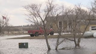 Apple Creek Flood Update