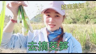 中国婆婆带一大家庭去摘野菜，越南媳妇问一句把老公给整懵了