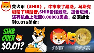 柴犬币（SHIB），牛市来了暴涨，马斯克梭哈了特朗普,SHIB价格暴涨，加仓进场，还有机会上涨至0.00003美金，必须加仓到0.01$美金！shib币|柴犬币|屎币行情分析！