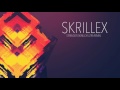 skrillex stranger skrillex ultra remix