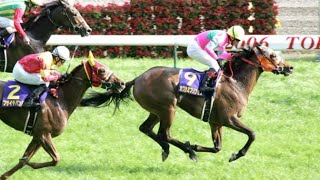 ２００６年牝馬２冠のカワカミプリンセスが死す、２０歳…西浦勝一元調教師「名馬中の名馬という馬でした」