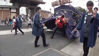 4K 泉町の幌獅子　幌獅子總揃　石岡のおまつり2019 初日　C0011