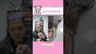 潘宏：狗子的最強嘴替 #潘宏愛玩狗#搞笑#寵物#名場面