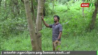 மரங்களை வெட்டுவோர் மத்தியில் காட்டையே உருவாக்கிய லோயா || Forest