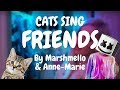 Cats Sing Friends by Marshmello & Anne-Marie | Cats Singing Song