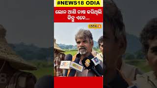 ଚିନ୍ତାରେ ଚାଷୀ, ଏବେ କରିବେ କଣ... Viral Video| Farmer| Local news #local18