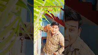 सरकारी नौकरी हो तो कालूवा भी अच्छा लगता है | #couple #couplecomedy #comedy #funny #shorts