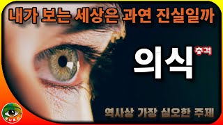 【충격】역사상 가장 심오한 주제 , 의식 | 유니버스