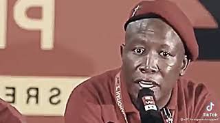 I work very Hard - Julius Malema