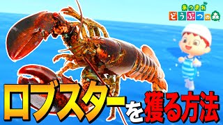 【あつ森】寿命が無い！？不老不死の「ロブスター」を獲る方法 ～Lobster ～【あつまれ どうぶつの森】