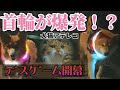 【犬猫アテレコ】ピカピカ首輪で愉快な散歩 and 落ち込む犬と猫