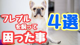 【お迎え前に見てほしい】フレブルを飼って困った事４選!!フレンチブルドッグのルーク【Luke VLOG #48】