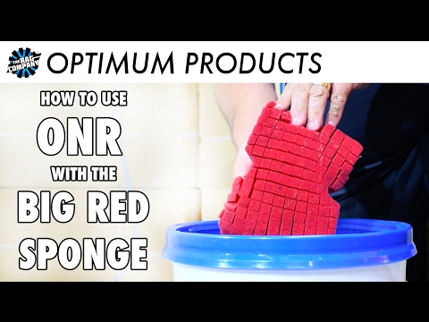 What is a red sponge?